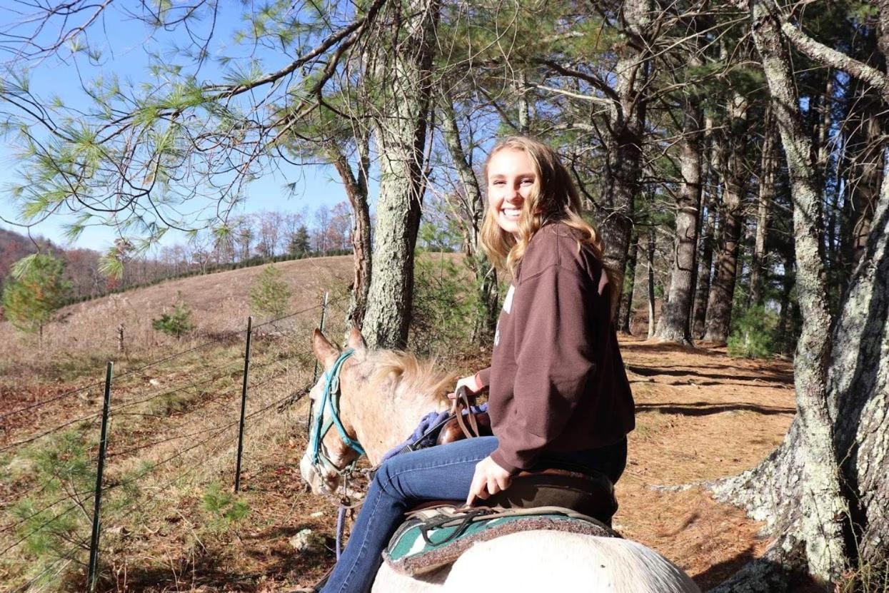 Arrowmont Stables & Cabins Cullowhee エクステリア 写真