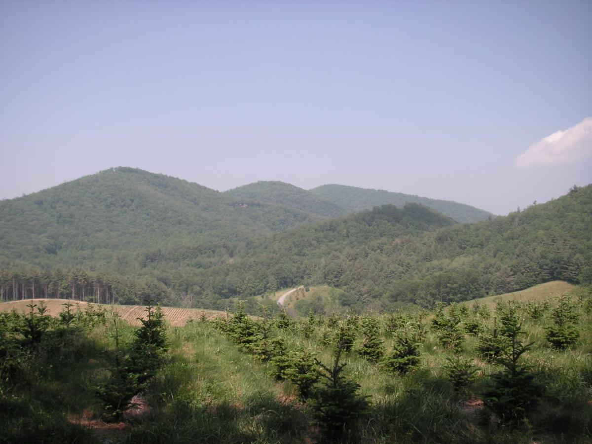 Arrowmont Stables & Cabins Cullowhee エクステリア 写真