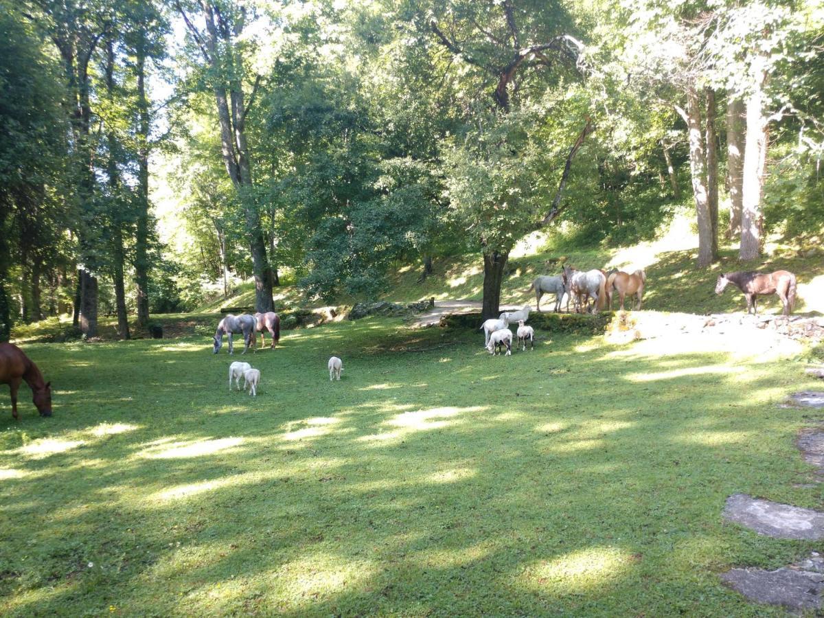 Arrowmont Stables & Cabins Cullowhee エクステリア 写真