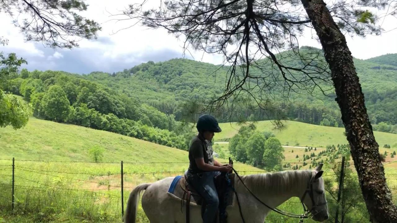 Arrowmont Stables & Cabins Cullowhee エクステリア 写真