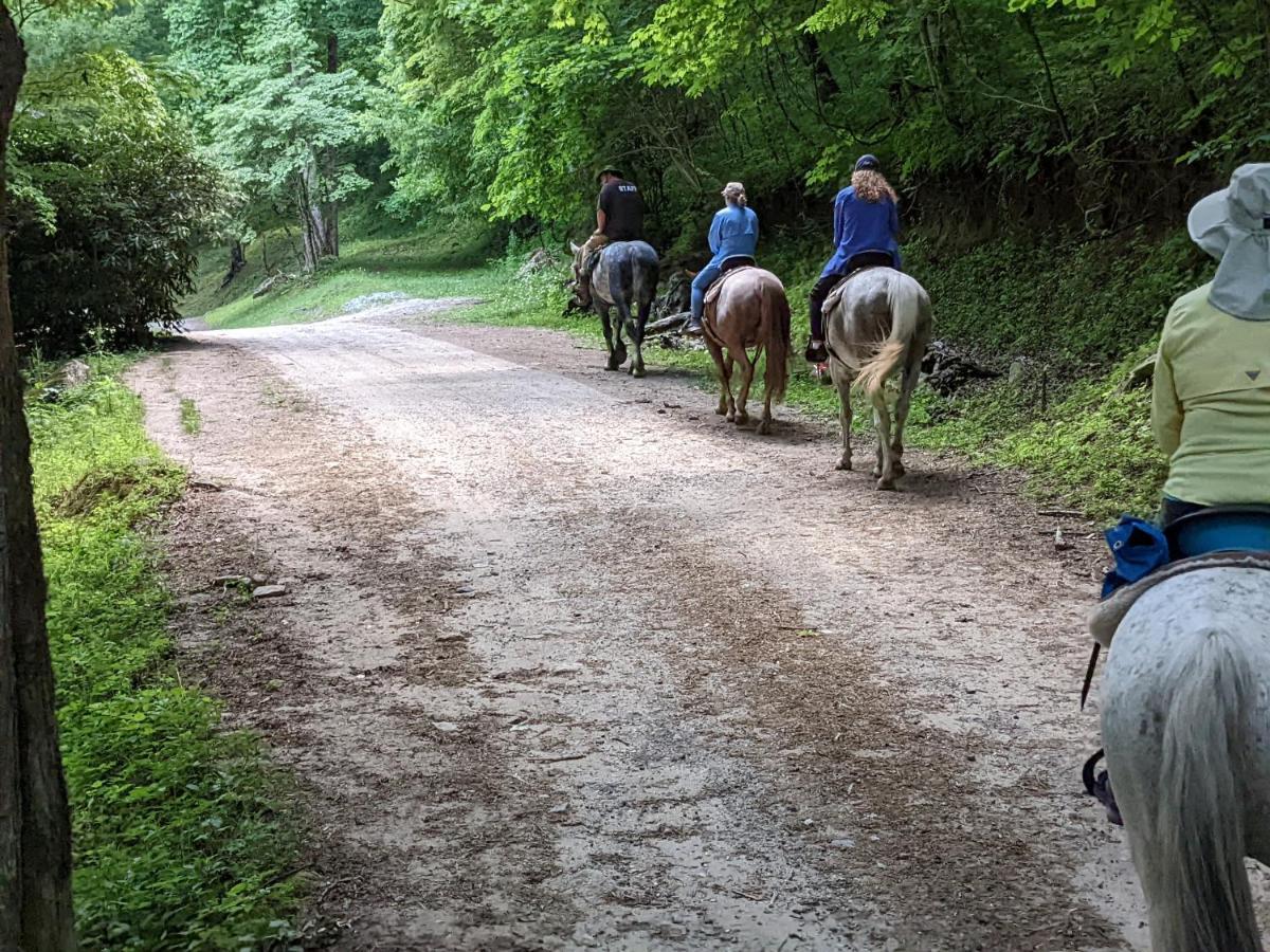 Arrowmont Stables & Cabins Cullowhee エクステリア 写真