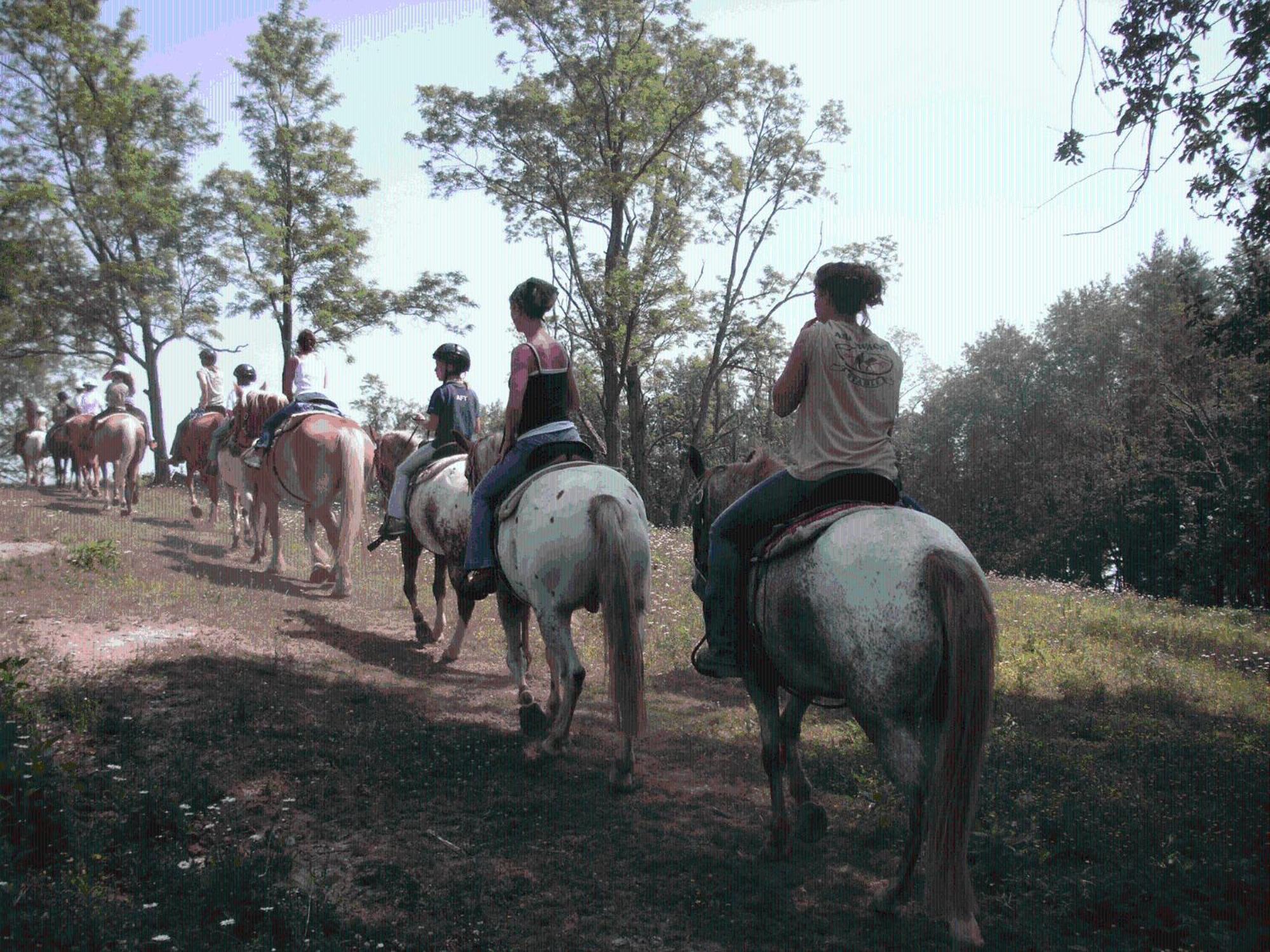 Arrowmont Stables & Cabins Cullowhee エクステリア 写真