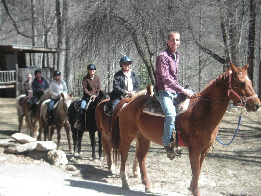 Arrowmont Stables & Cabins Cullowhee エクステリア 写真