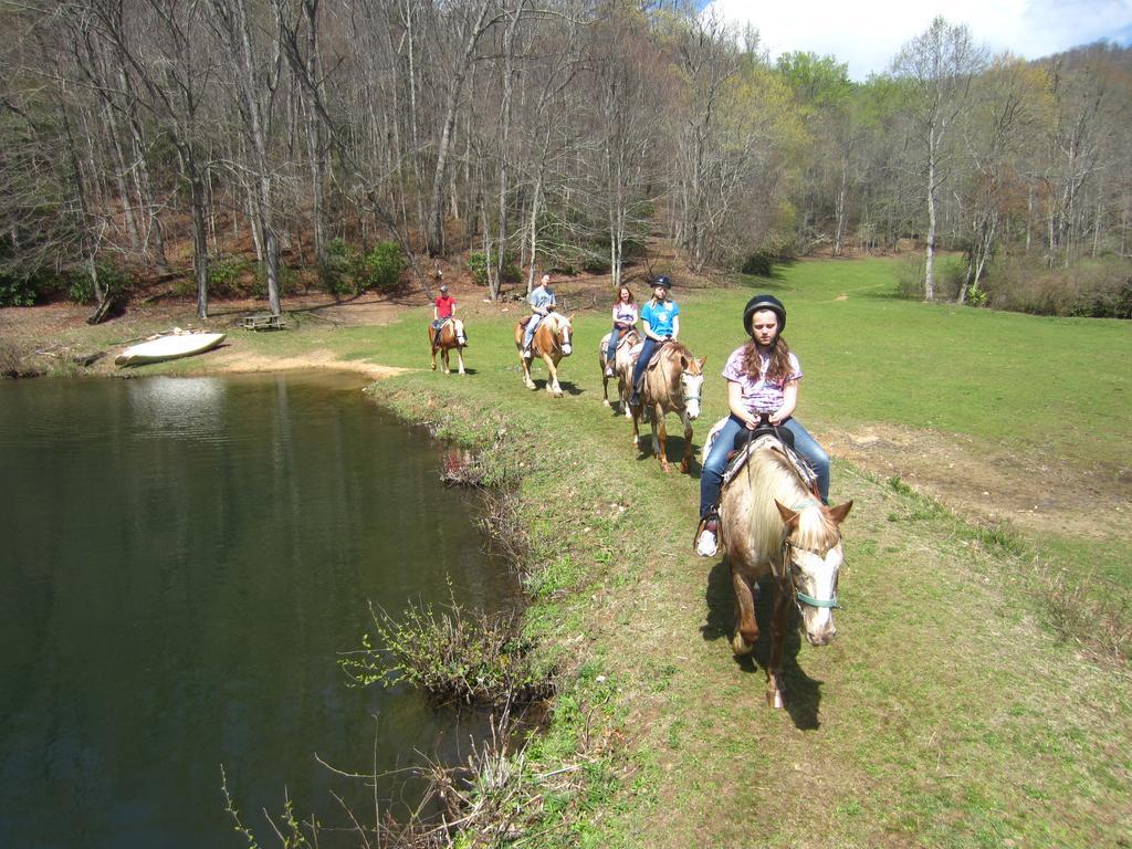 Arrowmont Stables & Cabins Cullowhee エクステリア 写真