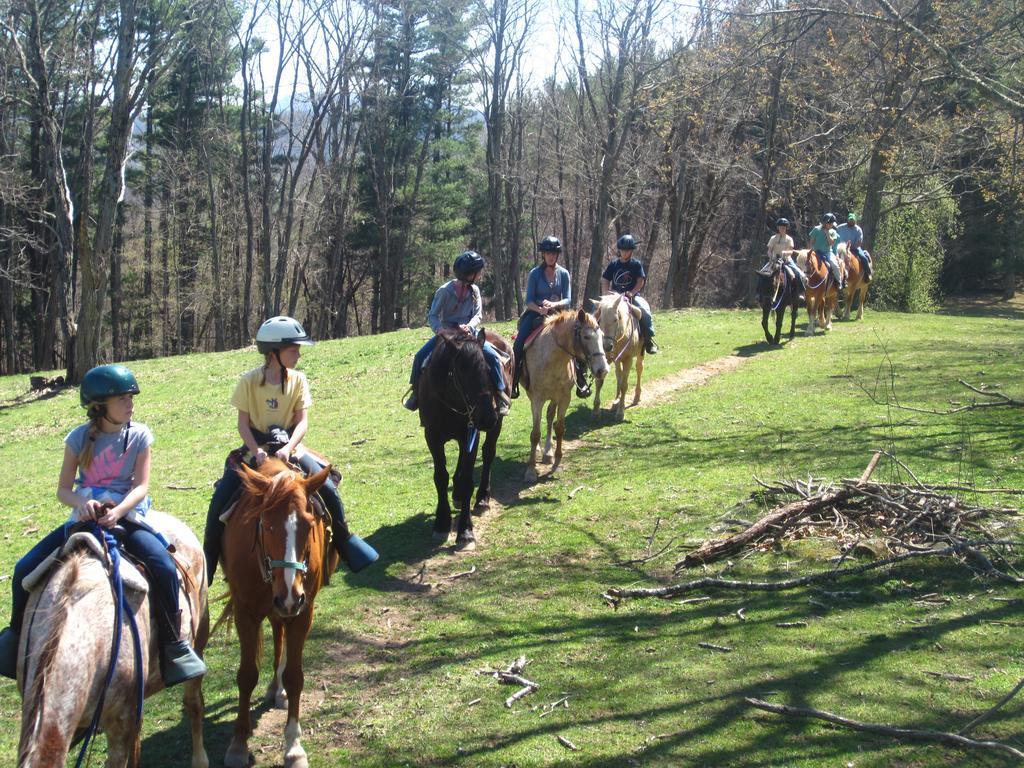 Arrowmont Stables & Cabins Cullowhee エクステリア 写真