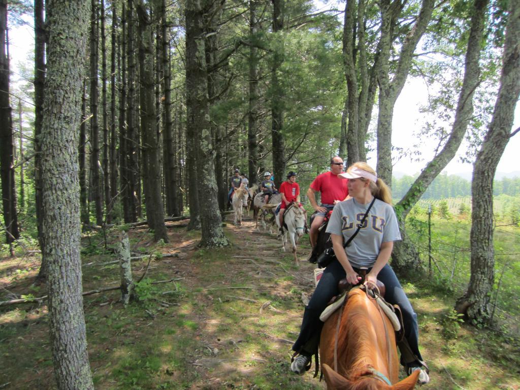 Arrowmont Stables & Cabins Cullowhee エクステリア 写真