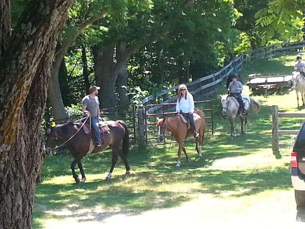 Arrowmont Stables & Cabins Cullowhee エクステリア 写真