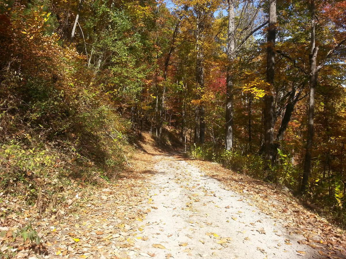 Arrowmont Stables & Cabins Cullowhee エクステリア 写真